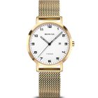 Bering Titanium women's watch 18634-334