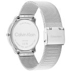 Calvin Klein CK Iconic women's watch CK25300015