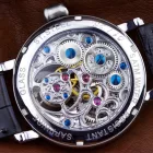 Poljot International Tourbillon Skeleton Limited Edition men's watch 3360.T04
