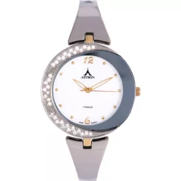Titanium watches