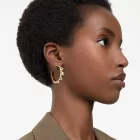 Swarovski Dextera women's earrings 5663261