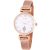 Astron women's watch 8038-0