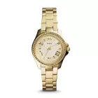 FOSSIL watch AM4577