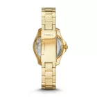 FOSSIL watch AM4577