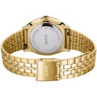 Cluse Féroce Petite women's watch CW11220
