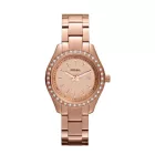 FOSSIL watch ES3196