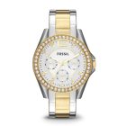 Fossil Riley women's watch ES3204