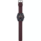 Casio Pro Trek men's watch PRW-6900YL-5ER