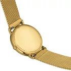 Tissot T-Classic Everytime men's watch T143.410.33.021.00, gold dial, gold stainless steel strap