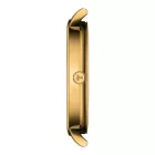 Tissot T-Classic Everytime men's watch T143.410.33.021.00, gold dial, gold stainless steel strap